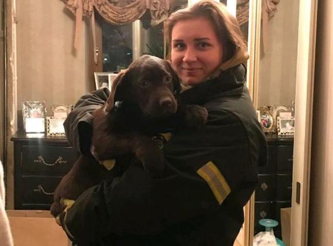 Спасатели вытащили собаку, застрявшую под ванной в Москве